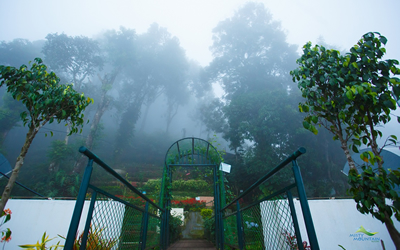 Munnar Tour Packages
