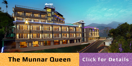 Munnar Tour Packages